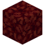 Rough Nether Wart Block