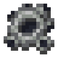 Barnacles