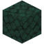 Trodden Dark Prismarine
