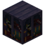Calico Cat Purple Bookshelf