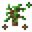 Wood Essence