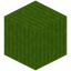 Barky Lime Wool