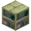 Endshelf