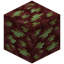 Nether Chalcopyrite Ore