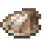 Seashell