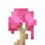Pink Shimmering Mushroom