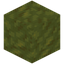 Smooth Sponge