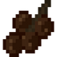 Hazelnut Fruit