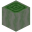 Green Bioshroom Stem