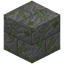 Massive Mossy Stone Bricks Bricks