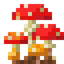 Red Mushroom Colony