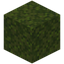 Moss Block