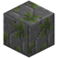 Prismal Mossy Stone Bricks Remnants