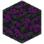 Deepslate Ammolite Ore