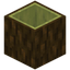 Hollow Azalea Log