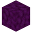 Bubble Coral Block