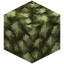 Block of Raw Sheldonite