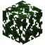 Cypress Leaves