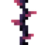Dralgae