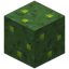 Green Mushroom Block