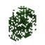 Pine Hedge