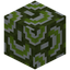 Waved Green Glazed Terracotta