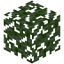 Grapefruit Leaves