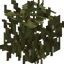 Joshua Leaves