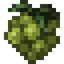 White Jungle Grapes