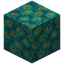 Eyed Warped Wart Block