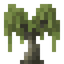 Willow Sapling