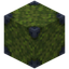Moss Block 2x