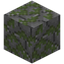 Mossy Stone Flagstone