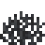 Dead Fire Coral Fan