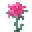 Amorous Bristle