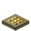 Golden Barred Birch Trapdoor