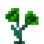 Mystical Green Flower