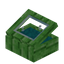 Cyan Green Bioshroom Display Case