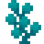 Gem Coral