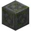 Bordered Mossy Stone Bricks