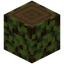 Overgrown Spruce Log