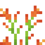 Day Lily