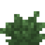 Bush