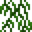 Willow Vine