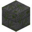 Massive Mossy Stone Bricks Bricks