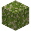 Kelp Sand