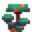 Warped Fungus Colony