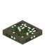 Western Hemlock Trapdoor