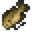 Raw Catfish