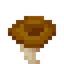 Brown Shimmering Mushroom